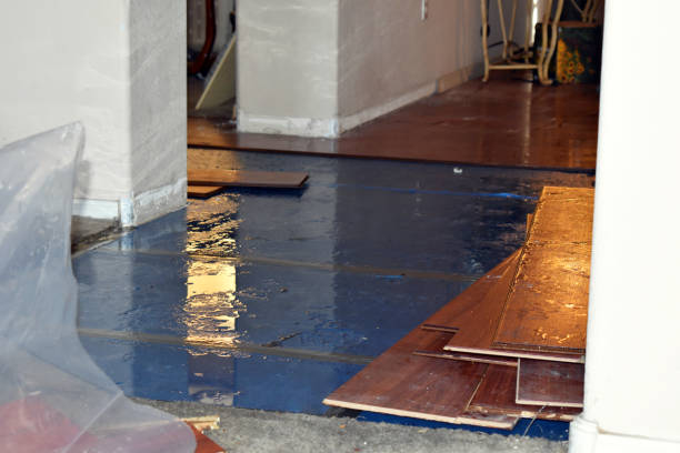 Professional Sewage Cleanup technician working in Carter Lake, IA